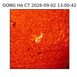 gong - 2026-09-02T13:00:42