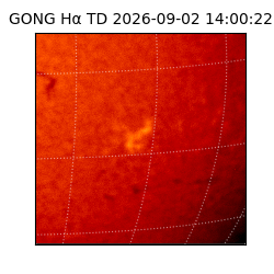 gong - 2026-09-02T14:00:22