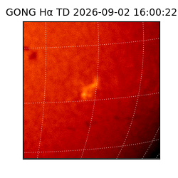 gong - 2026-09-02T16:00:22