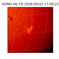 gong - 2026-09-02T17:00:22