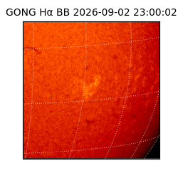 gong - 2026-09-02T23:00:02
