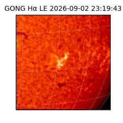 gong - 2026-09-02T23:19:43
