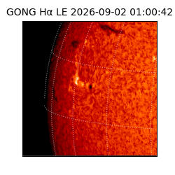gong - 2026-09-02T01:00:42