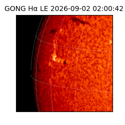 gong - 2026-09-02T02:00:42