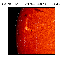 gong - 2026-09-02T03:00:42