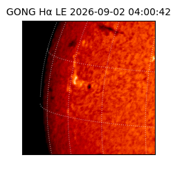 gong - 2026-09-02T04:00:42