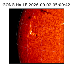 gong - 2026-09-02T05:00:42