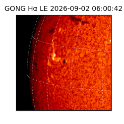 gong - 2026-09-02T06:00:42