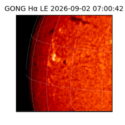 gong - 2026-09-02T07:00:42