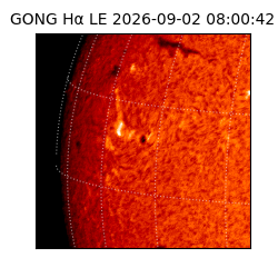 gong - 2026-09-02T08:00:42