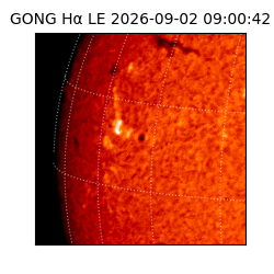 gong - 2026-09-02T09:00:42