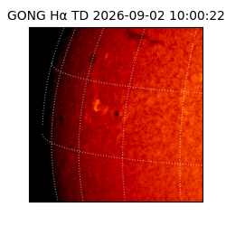 gong - 2026-09-02T10:00:22