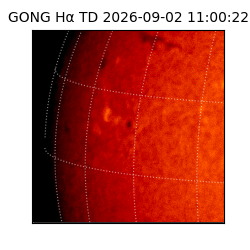 gong - 2026-09-02T11:00:22