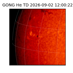 gong - 2026-09-02T12:00:22