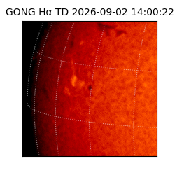 gong - 2026-09-02T14:00:22