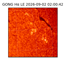 gong - 2026-09-02T02:00:42