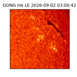 gong - 2026-09-02T03:00:42