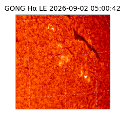 gong - 2026-09-02T05:00:42