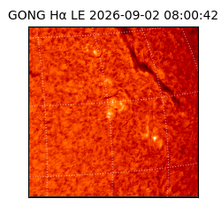 gong - 2026-09-02T08:00:42