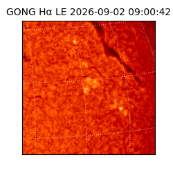 gong - 2026-09-02T09:00:42