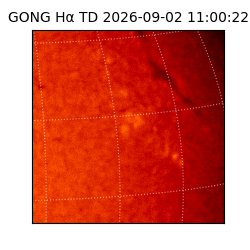 gong - 2026-09-02T11:00:22