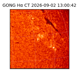 gong - 2026-09-02T13:00:42
