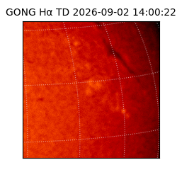 gong - 2026-09-02T14:00:22