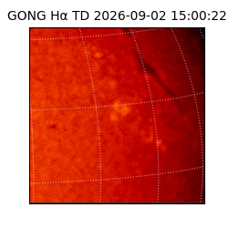 gong - 2026-09-02T15:00:22