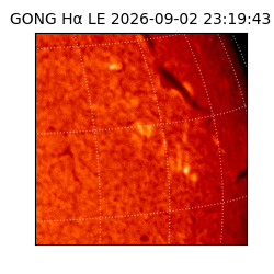 gong - 2026-09-02T23:19:43
