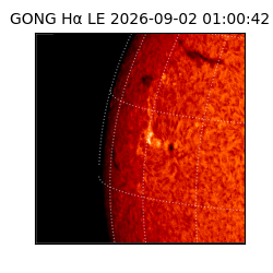 gong - 2026-09-02T01:00:42
