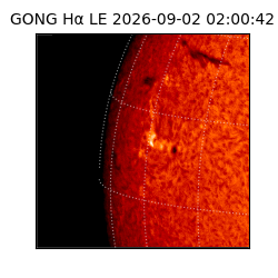 gong - 2026-09-02T02:00:42