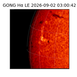 gong - 2026-09-02T03:00:42