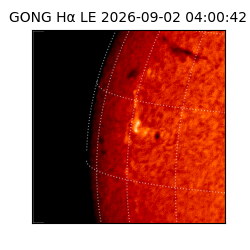 gong - 2026-09-02T04:00:42