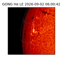 gong - 2026-09-02T06:00:42