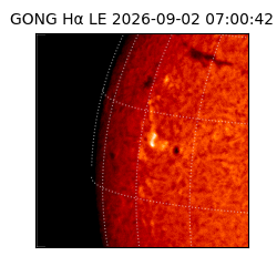 gong - 2026-09-02T07:00:42