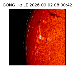 gong - 2026-09-02T08:00:42
