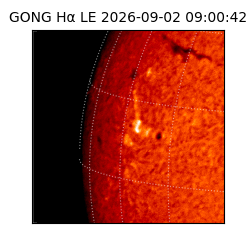 gong - 2026-09-02T09:00:42