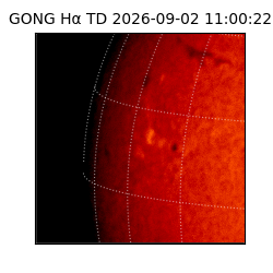 gong - 2026-09-02T11:00:22