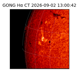 gong - 2026-09-02T13:00:42