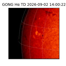 gong - 2026-09-02T14:00:22