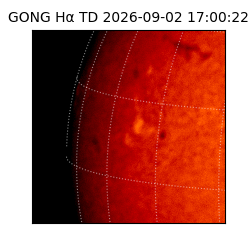 gong - 2026-09-02T17:00:22