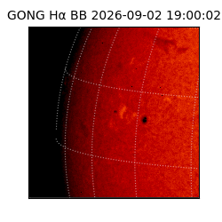 gong - 2026-09-02T19:00:02