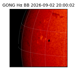 gong - 2026-09-02T20:00:02