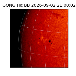 gong - 2026-09-02T21:00:02