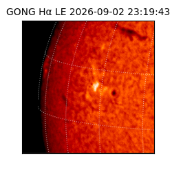 gong - 2026-09-02T23:19:43