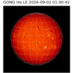 gong - 2026-09-02T01:00:42