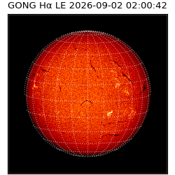 gong - 2026-09-02T02:00:42