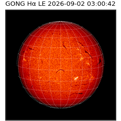 gong - 2026-09-02T03:00:42
