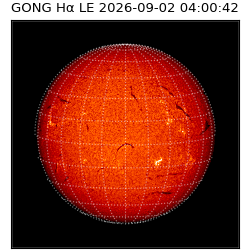 gong - 2026-09-02T04:00:42