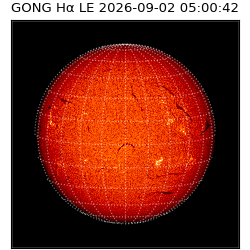 gong - 2026-09-02T05:00:42